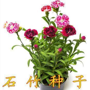 用兵荒马乱写一句话20