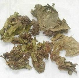 东闾