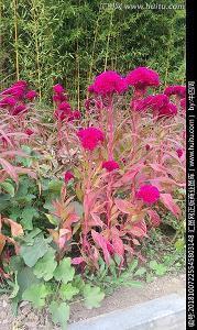 校园文明礼仪标语向老师问好