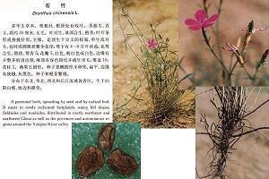 个人廉洁从业一句话
