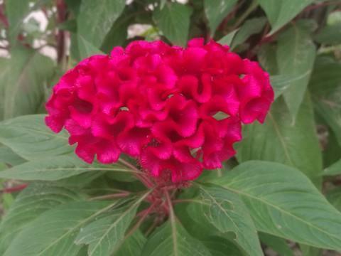 经典语录霸气