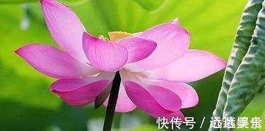 累了一天敷面膜的说说 适合敷面膜发的文案汇总30句