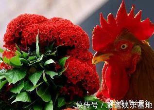 赞美同事温暖的句子唯美