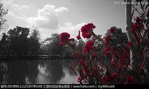 送给离别朋友的一句话 离开时祝福朋友的句子(精选72条)