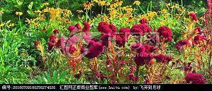 创建文明单位宣传标语