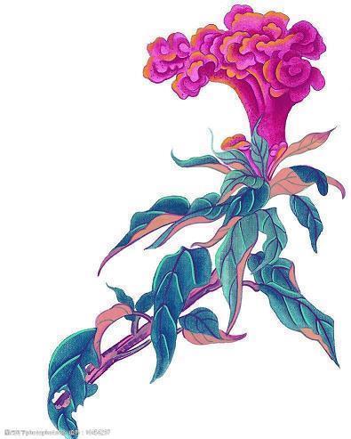 诐辞