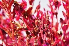 小学教师节祝福语简短2021年(精选55条)