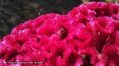 描写紧张害怕心理描写