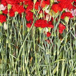 元宵节给妈妈的祝福语