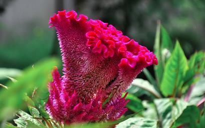 教师节祝福老师的句子简短精选58句