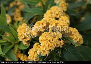 朋友吃饭开心唯美句子 好朋友聚餐开心的句子