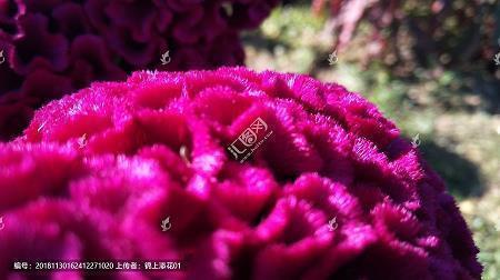 余生安好的句子，余生若不能相见，愿你安好_愿你一切安好唯美句子