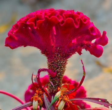 80.90年代好听的经典老歌