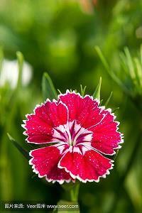 话语骂人的话连串