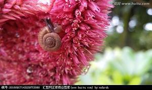 英语长句子欣赏