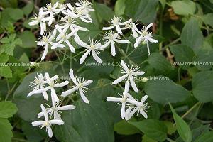 祝爸爸生日说说 祝爸爸生日说说搞笑_祝去世的爸爸生日说说