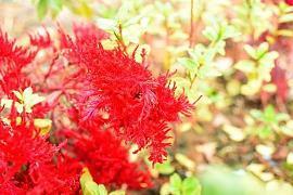 逆辞