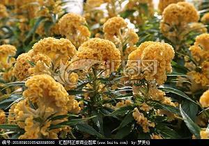 舞台的励志句子 心有多大 舞台就有多大励志语录