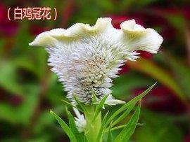 抖音很现实又很扎心的句子