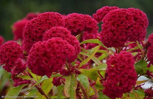 写给对象的情话_经典情话_对象过生日的情话