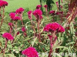 人生格言座右铭 人生格言座右铭有哪些