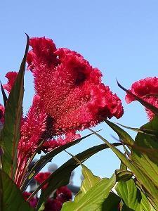 下雨的有意境的短句子 适合下雨天发的朋友圈