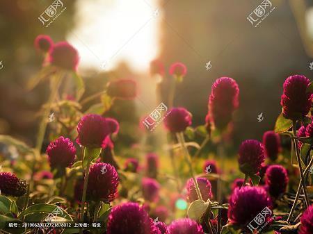 老同学聚会短句40句