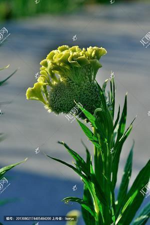 老公生日祝福语短信