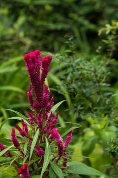 愚人节笑话大全_笑话生日句子