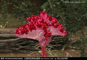 杞人忧天的寓意短句子