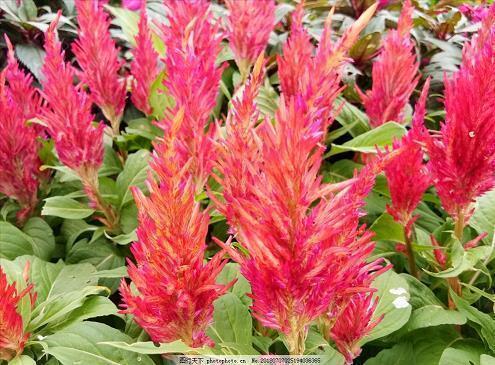 请人帮忙的客气话 求人办事的客气用语