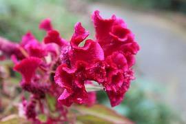 婚姻生活哲理感悟句子