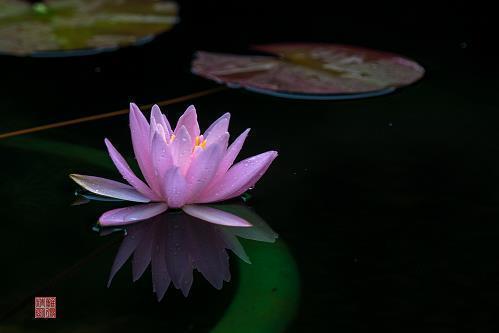教师节的祝福语句简单二年级(精选53条)