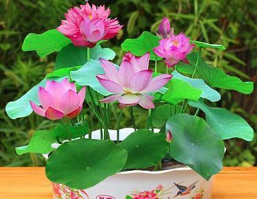 送给闺蜜的话10字以内 关于闺蜜生日祝福语十个字(精选47句)
