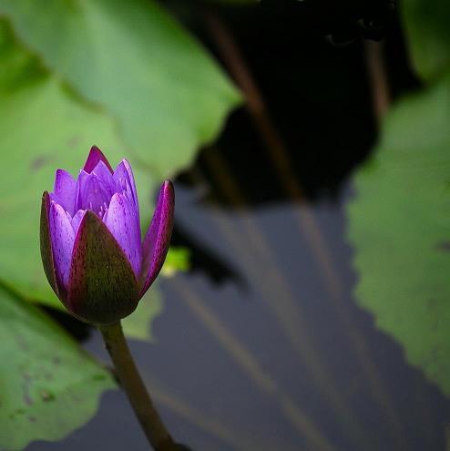 送过老师最温暖的一句话 送给老师一句祝福的话(精选60条)