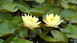 2021冬至祝福语句子大全(精选83条)