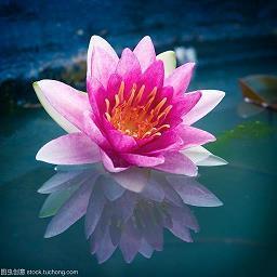 溘