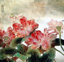 雅逸