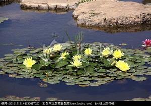春节朋友圈高级文案(精选100条)