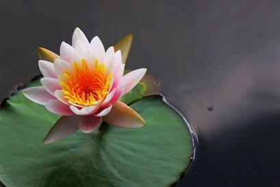 春节祝老人祝福语