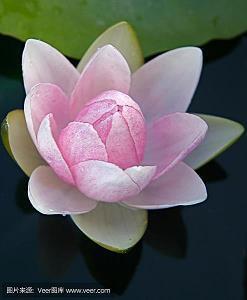 生荣亡哀