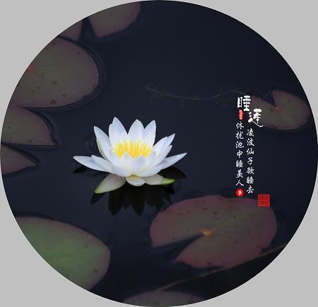 赭