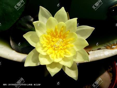 高情商的哄人句子 逗人开心的俏皮话情话
