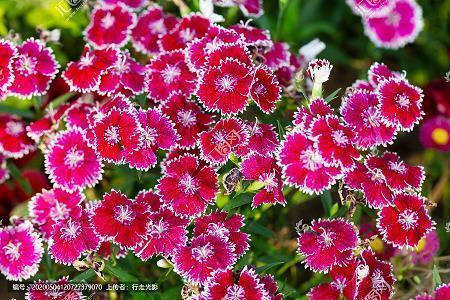 教师节的祝福语大全2021年(精选70条)