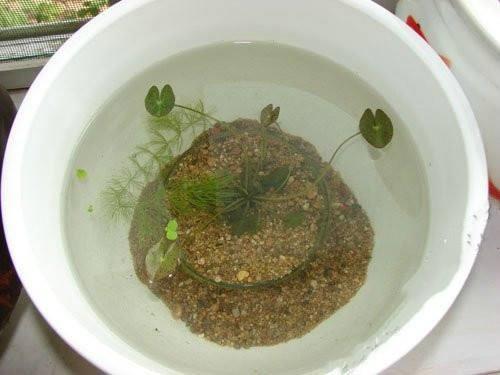 关于感恩的说说短语