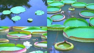 防虑