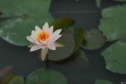 玄旷