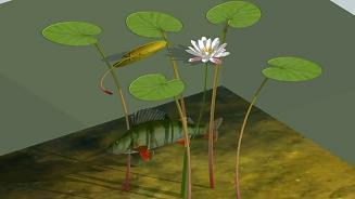 如芒刺背