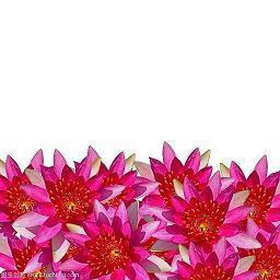 给朋友的生日祝福语短句暖心的汇总76句