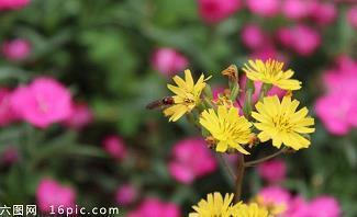 让人心痛到无法呼吸 关于网易云音乐最虐心的评论(精选45句)